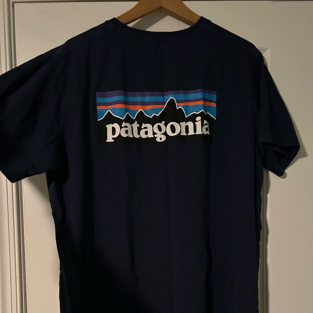 Patagonia tee shirt